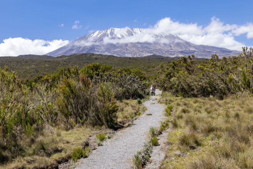 kilimandjaro carte