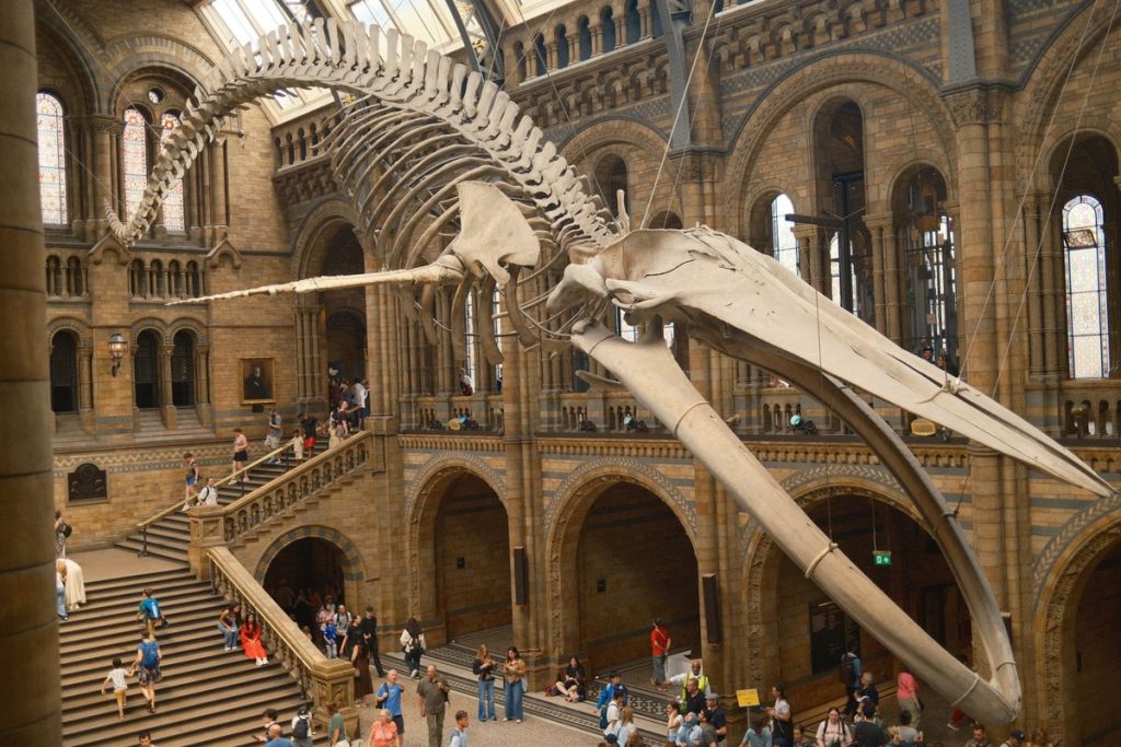 visiter londres en famille en 4 jours
