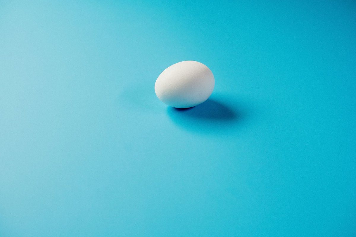 oeuf frais flotte