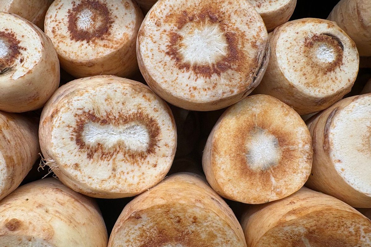 panais légume ou féculent